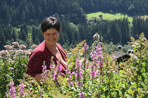 Kräuter-Spaziergang an der Alfenz mit Zubereitung & Verkostung